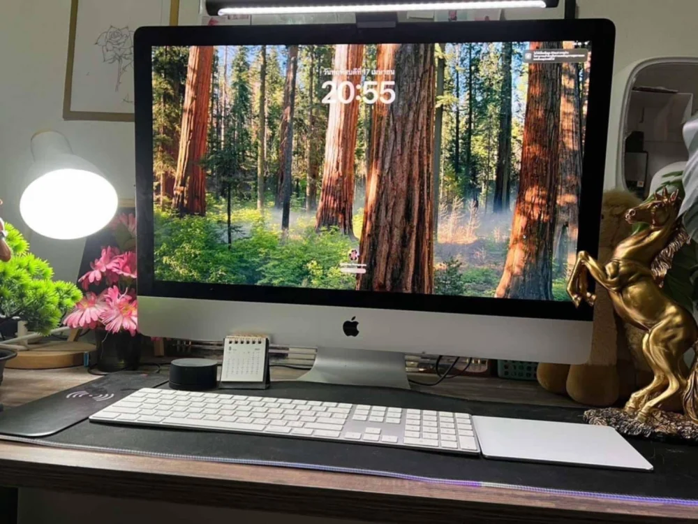 บริการฝากทีวีบางพลี